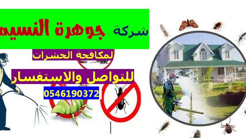 شركة مكافحة حشرات بجدة
