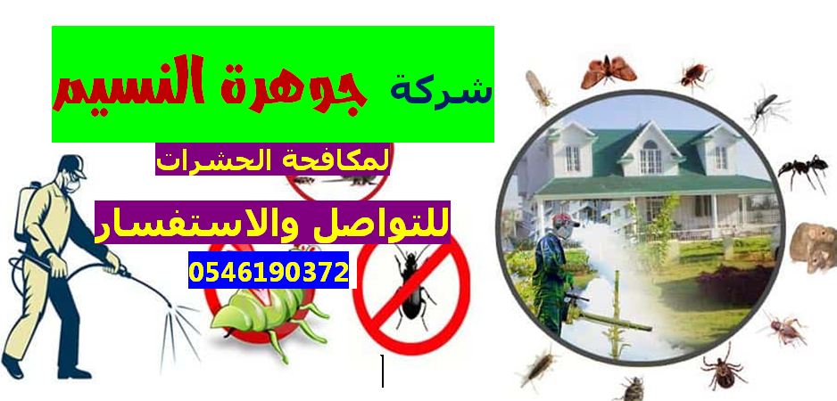 شركة مكافحة حشرات بجدة